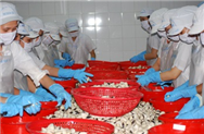 VIETNAM- SECOND BIGGEST SOURCE FOR PROCESSED CLAMS IN ITALY